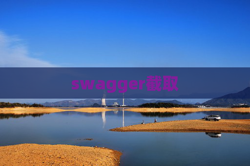 swagger截取